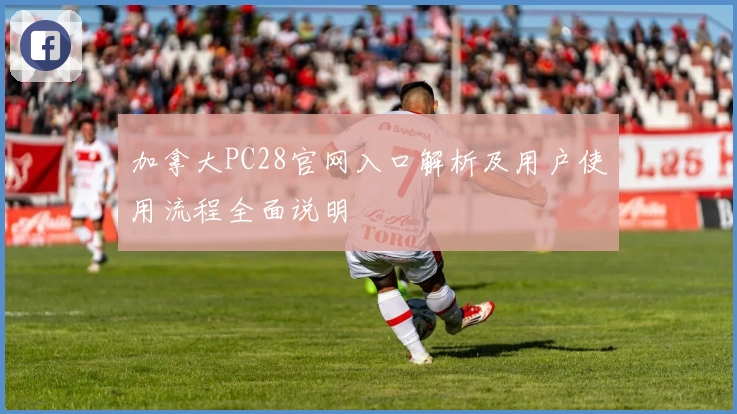 加拿大PC28官网入口解析及用户使用流程全面说明