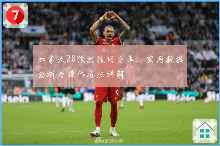 加拿大28预测技巧分享：实用数据分析与操作方法详解