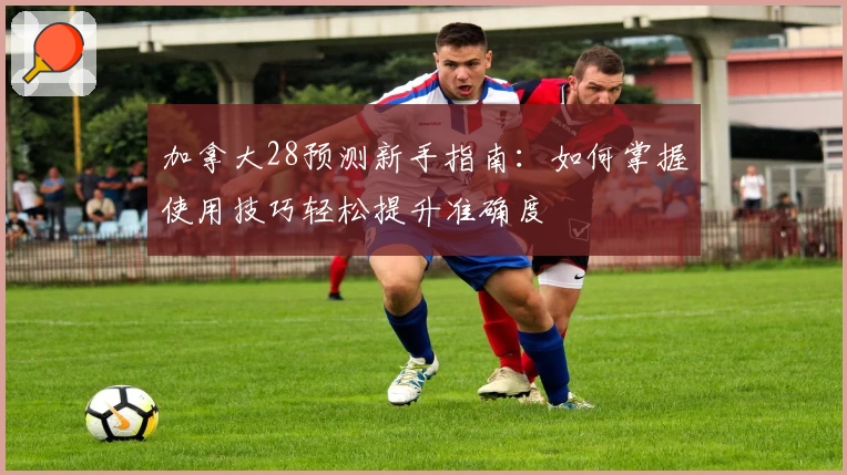 加拿大28预测新手指南：如何掌握使用技巧轻松提升准确度