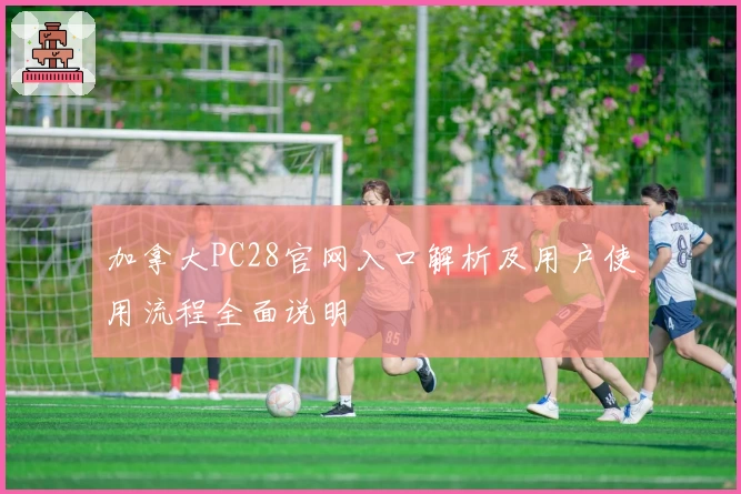 加拿大PC28官网入口解析及用户使用流程全面说明